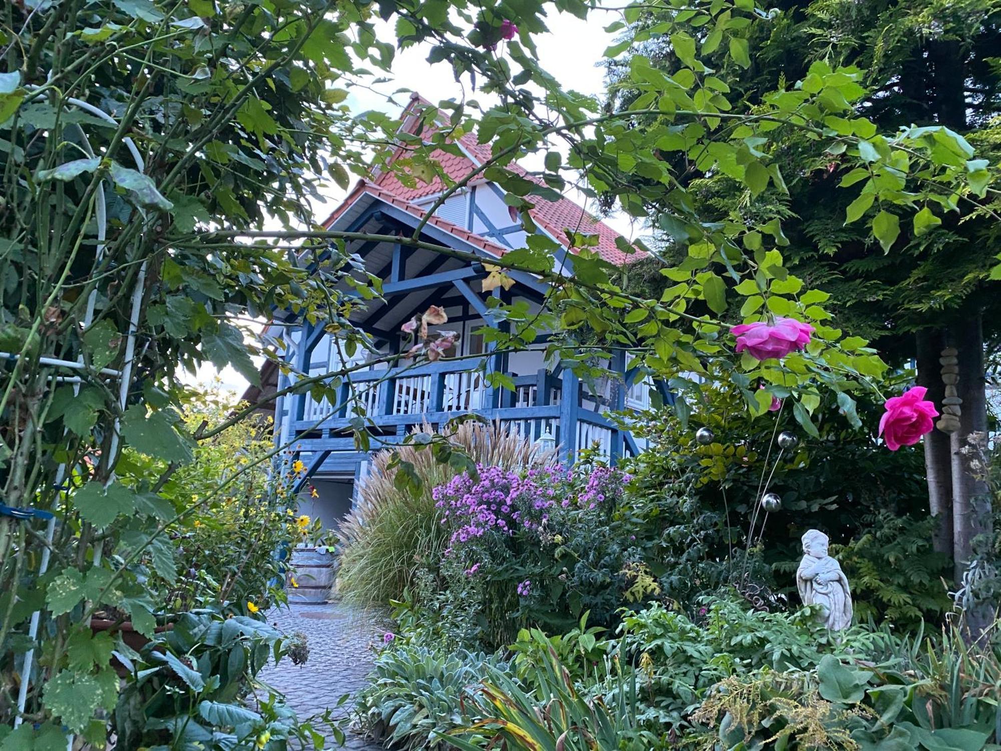 Apartment Paradise Garden Bad Sooden-Allendorf