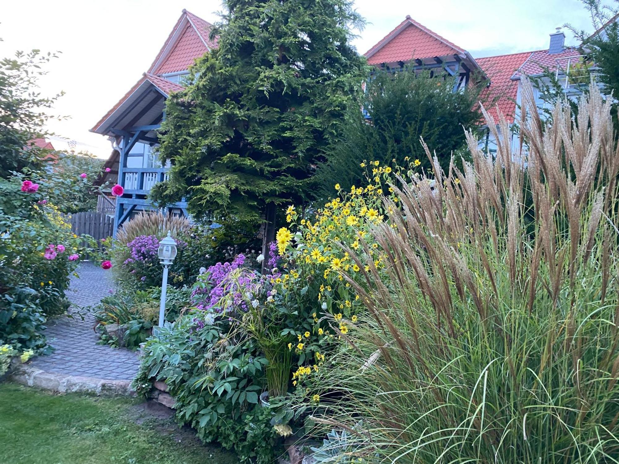 Paradise Garden Bad Sooden-Allendorf